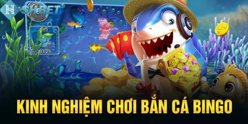 Banner www.maj.com.vn