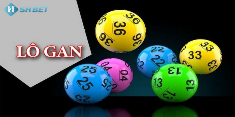 Banner www.maj.com.vn