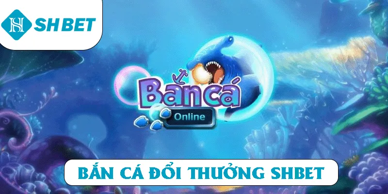 Banner www.maj.com.vn