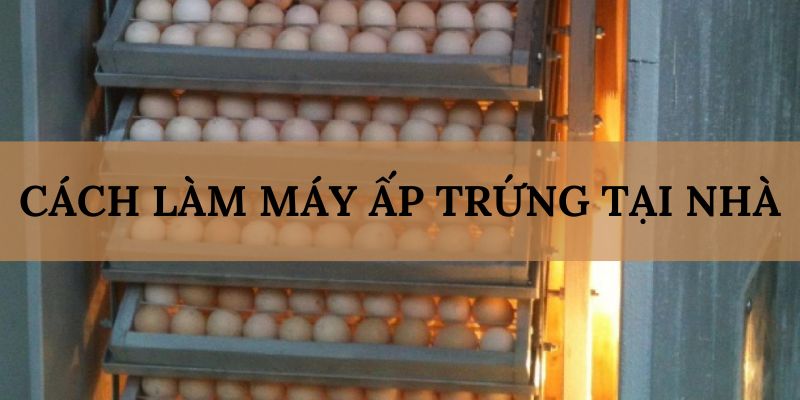 Banner www.maj.com.vn