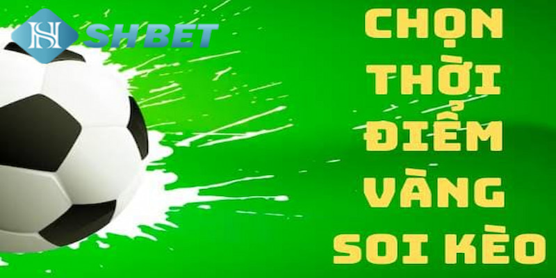 Banner www.maj.com.vn