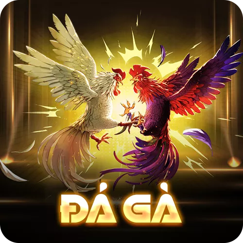 Banner www.maj.com.vn