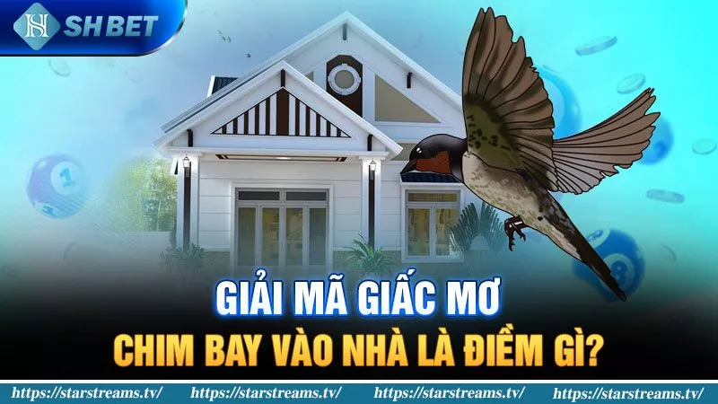 Banner www.maj.com.vn