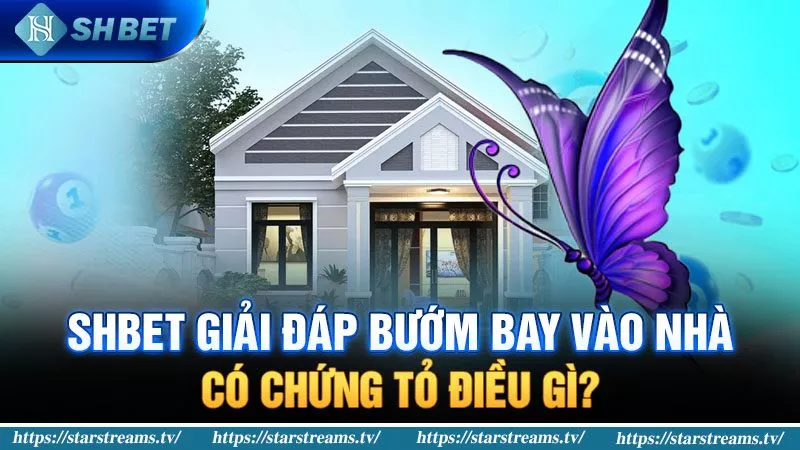 Banner www.maj.com.vn