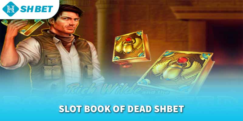 Banner www.maj.com.vn