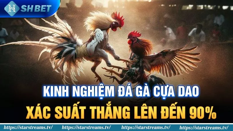 Banner www.maj.com.vn