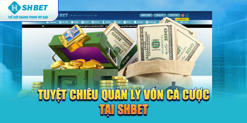 Banner www.maj.com.vn